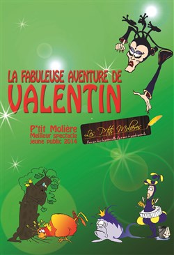 Affiche de La fabuleuse aventure de Valentin