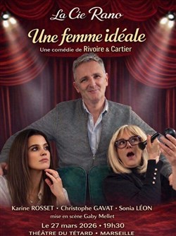 Affiche de Une femme idéale
