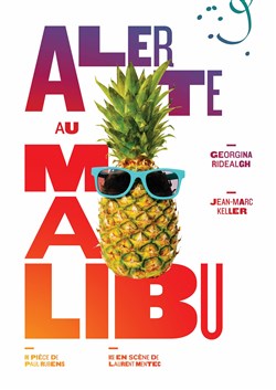 Affiche de Alerte au Malibu