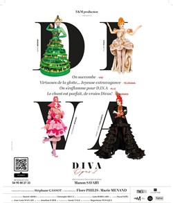 Affiche de D.I.V.A Opus 2