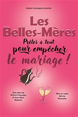 Affiche de Les belles mères