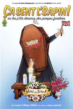 Affiche de Ça sent l'sapin !