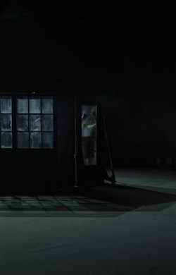 Affiche de Kaddish, la femme chauve en peignoir rouge