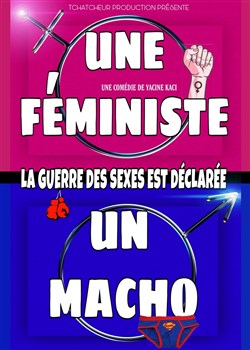 Affiche de Une féministe, un macho : la guerre est déclarée