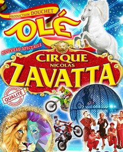 Affiche de Cirque Nicolas Zavatta Douchet | Ancenis