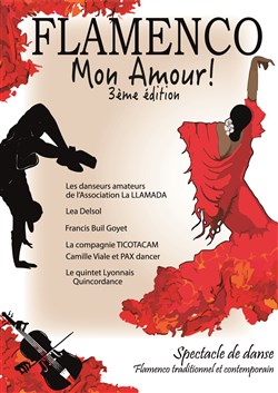 Affiche de Flamenco mon amour 3