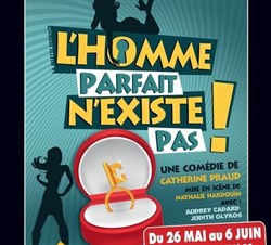 Affiche de L'homme parfait n'existe pas !