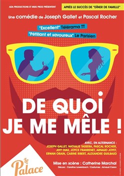 Affiche de De quoi je me mêle !