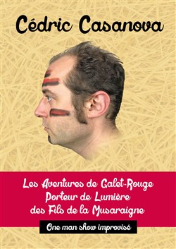 Affiche de Les aventures de Galet-Rouge, Porteur de lumière des fils de la Musaraigne