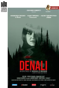 Affiche de Denali