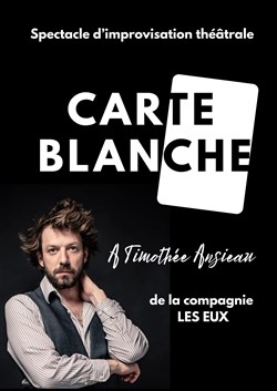 Affiche de Carte blanche à Timothée Ansieau
