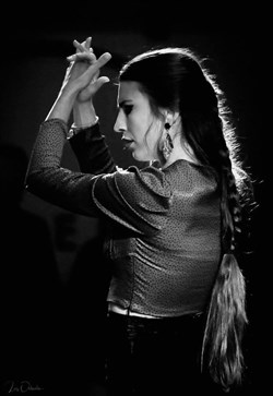 Affiche de Tablao Flamenco Traditionnel #1