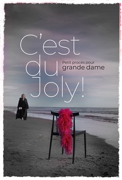 Affiche de Sandrine Gelin dans C'est du Joly ! Petit procès pour grande dame