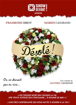 Affiche de Désolé !