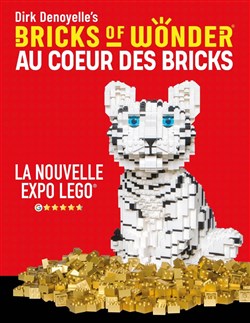 Affiche de Bricks of Wonder - Au coeur des Bricks