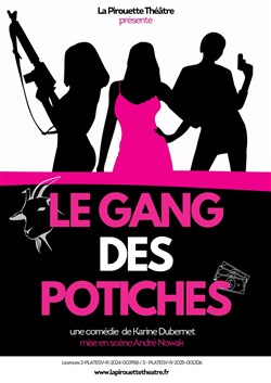 Affiche de Le gang des potiches