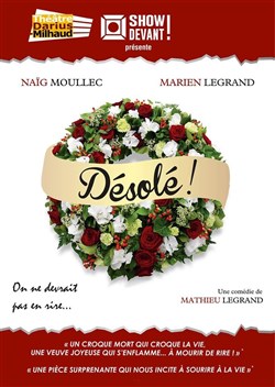 Affiche de Désolé !