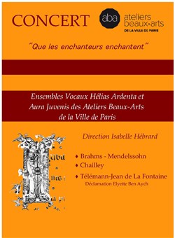 Affiche de Les Enchanteurs enchantent