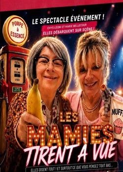 Affiche de Les mamies tirent à vue