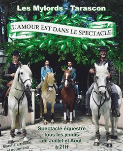 Affiche de L'amour est dans le spectacle