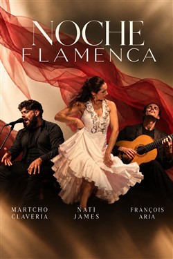 Affiche de Noche Flamenca 