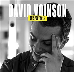 Affiche de David Voinson