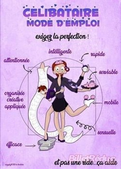 Affiche de Florine Demange dans Célibataire mode d'emploi
