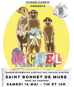 Affiche de Michel l'eusses-tu cru ?