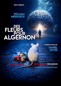 Affiche de Des fleurs pour Algernon