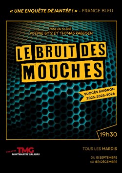 Affiche de Le Bruit des Mouches