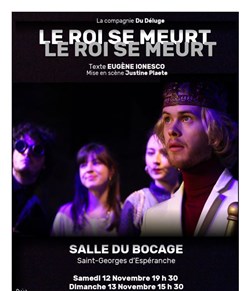 Affiche de Le Roi se meurt
