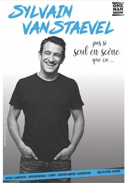 Affiche de Sylvain Vanstaevel dans Seul en scène mais pas si seul que ça