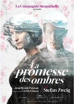 Affiche de La promesse des ombres