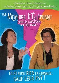 Affiche de Une mémoire d'éléphant (dans un magasin de porcelaine)