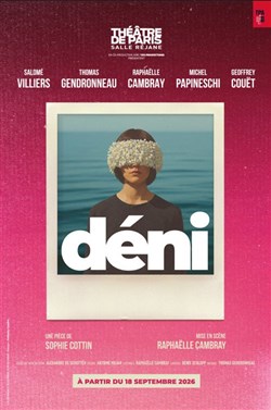 Affiche de Déni