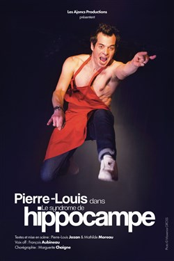 Affiche de Pierre-Louis dans Le syndrôme de l'hippocampe