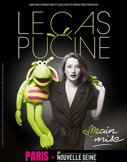 Affiche de Le Cas Pucine dans Main Mise