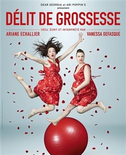 Affiche de Délit de grossesse