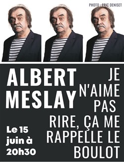 Affiche de Albert Meslay dans Je n'aime pas rire, ça me rappelle le boulot