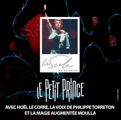 Affiche de Le Petit Prince