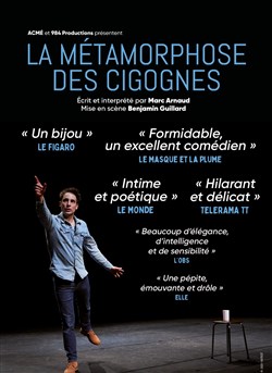 Affiche de La métamorphose des cigognes