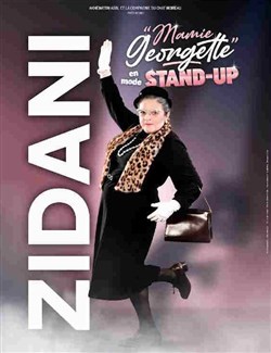 Affiche de Zidani dans Mamie Georgette en mode stand-up