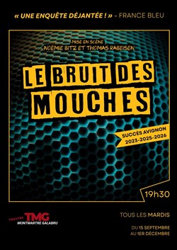 Affiche de Le Bruit des Mouches