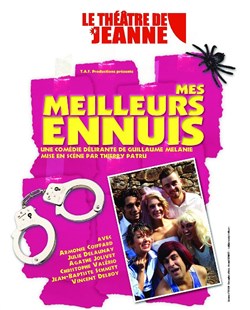 Affiche de Mes Meilleurs Ennuis !