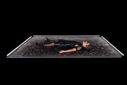 Affiche de La femme saumon