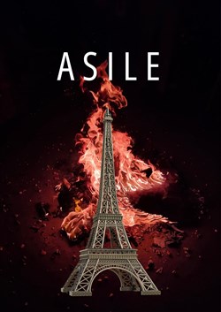 Affiche de Asile