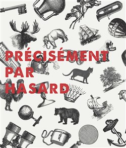 Affiche de Précisément Par Hasard