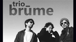 Affiche de Trio Brüme