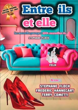 Affiche de Entre Ils et Elle