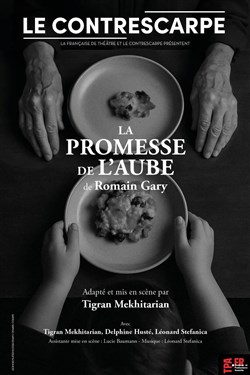 Affiche de La Promesse de l'Aube